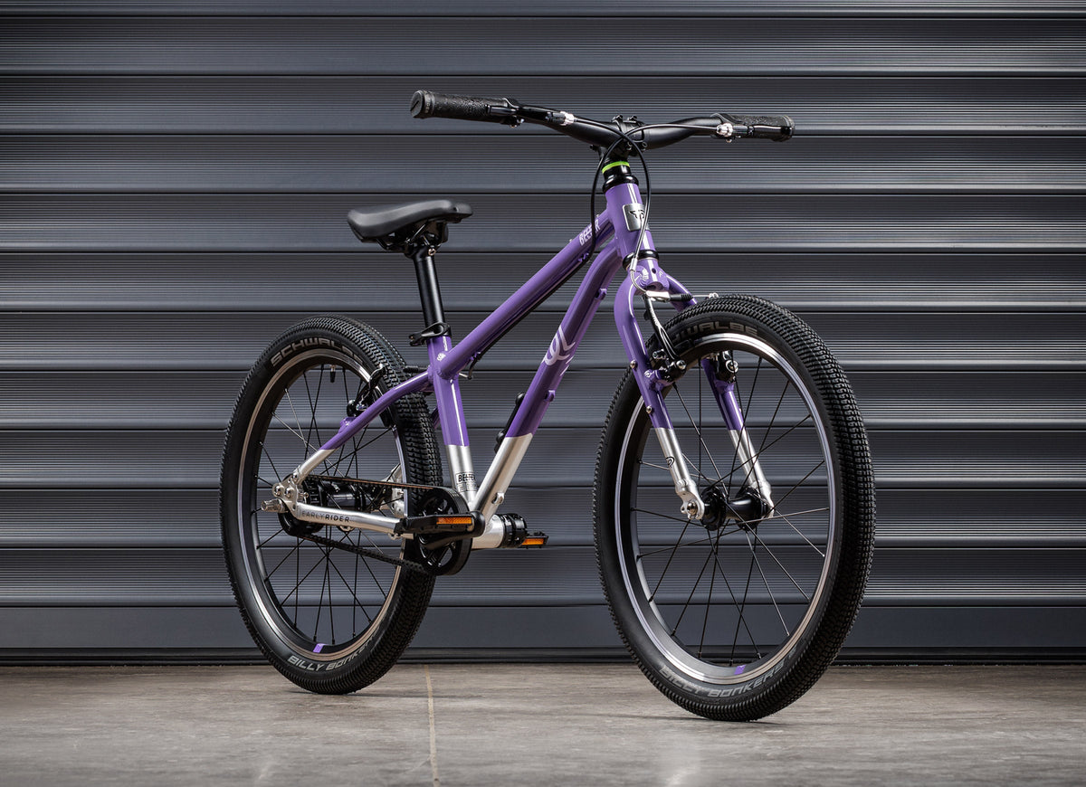 #color_electric-purple-brushed